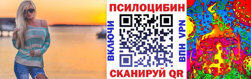 Псилоцибиновые грибы мицелий  Пугачёв 